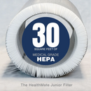 Austin Air Healthmate Junior Replacement Filter