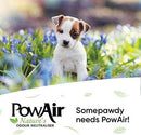 PowAir Penetrator Spray Neutralizer.
